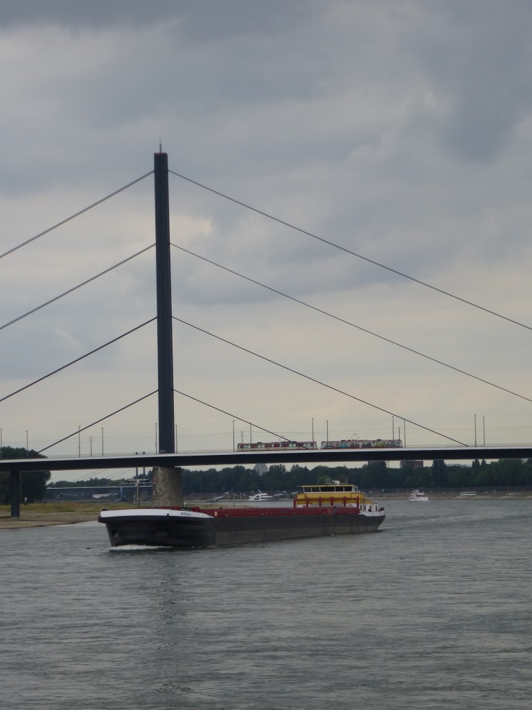 Reichlich Verkehr in Dsseldorf -

Whrend auf dem Rhein ein groes Containerschiff tuckert, fhrt oben auf der Obberkasseler Brcke eine Stadtbahn ihrer nchsten Haltestelle  Luegeplatz  entgegen.

Dsseldorf am 20.08.2013.