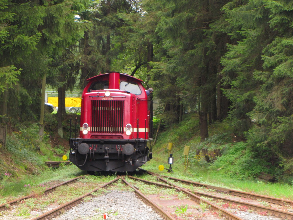 Rennsteigbahn 213 339  Diana  (92 80 1213 339-5 D-RSBG) am 23.08.2014 beim umsetzen im Bahnhof Rennsteig.