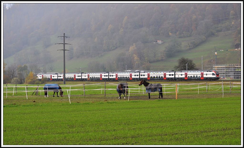 REX3809 zwischen Trbbach und Sargans. (21.11.2013)