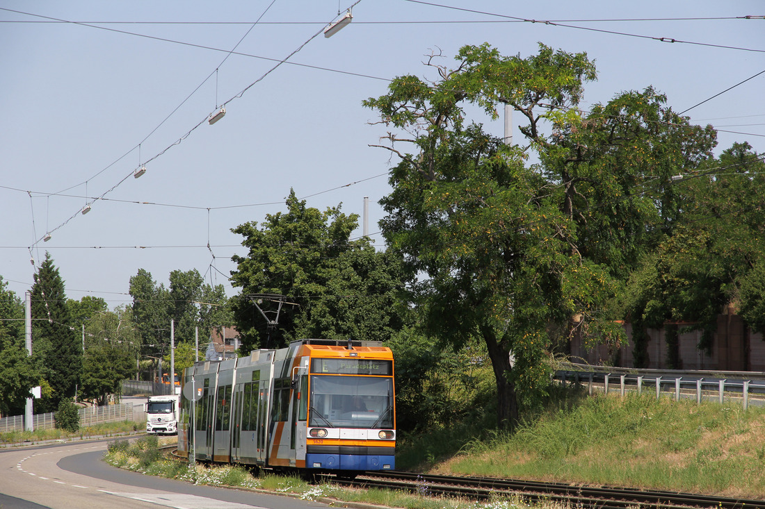 Rhein-Neckar-Verkehr 5620 // Mannheim // 27. Juni 2019