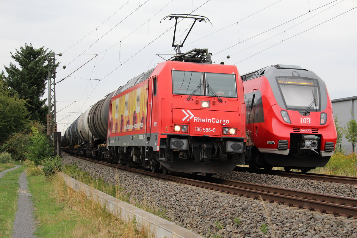RheinCargo 185-586-5 und 442 293 auf der Main-Weser-Bahn bei Bad Vilbel Dortelweil 