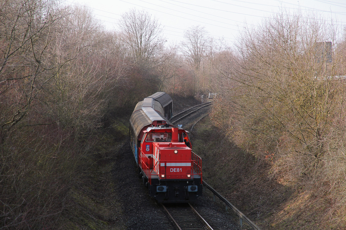 RheinCargo DE 81 // Hürth (Knapsacker Hügel) // 25. Februar 2021
(Übergabe Hürth-Berrenrath - Brühl-Vochem)
