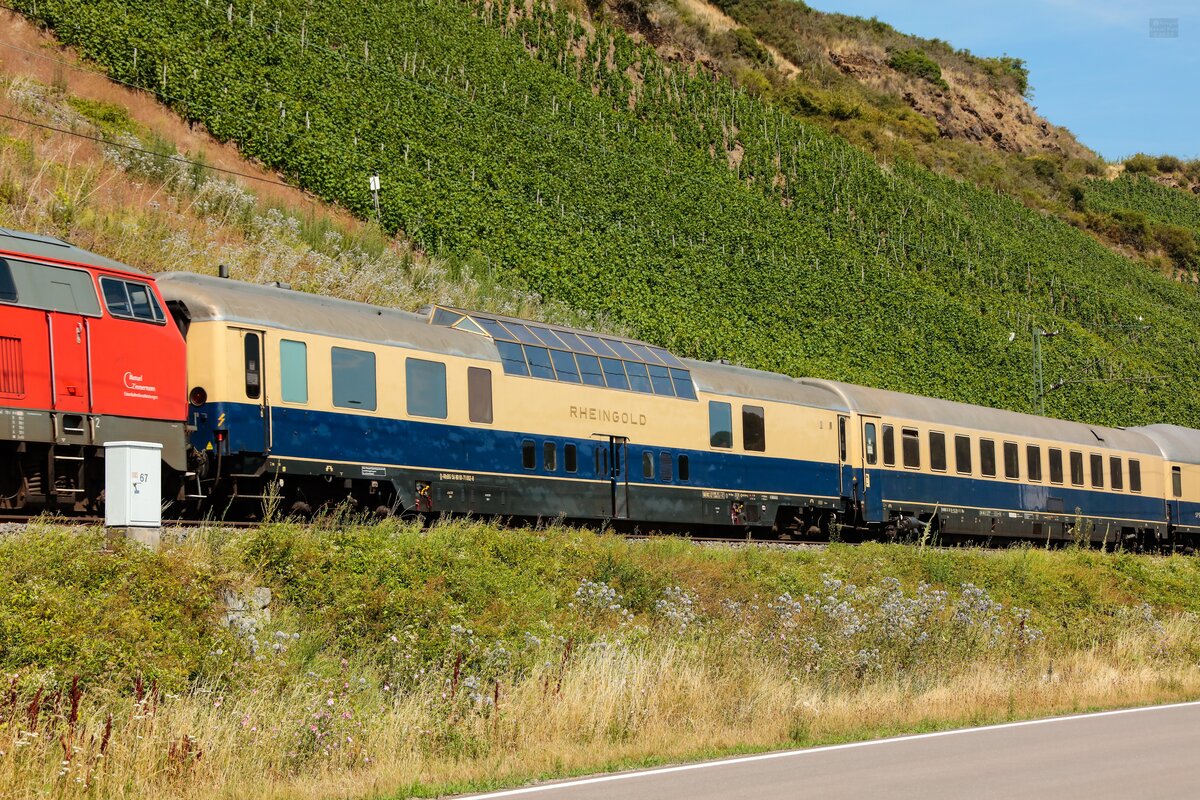 Rheingold Domecar Aussichtswagen am Bopparder Hamm, Juli 2025.