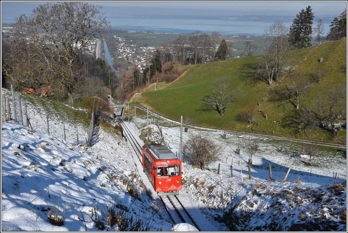 RhW unterhalb von Walzenhausen mit altem Rhein und Bodensee im Hintergrund. (14.02.2018)
