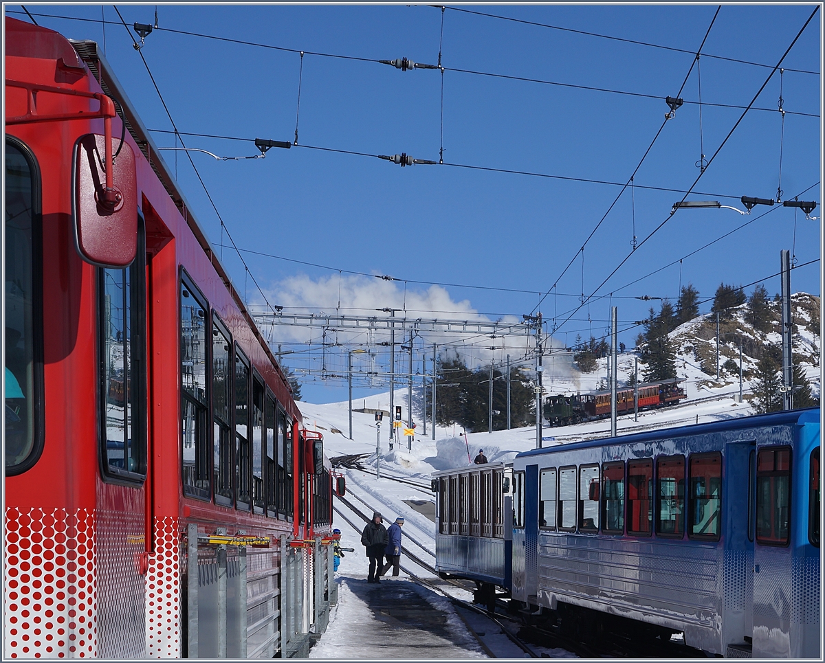 Rigi Bahnen Impressionen - ein Bild das mehr sagt als viele Worte es könnten.
Rigi Staffel den 24. Feb. 2018 