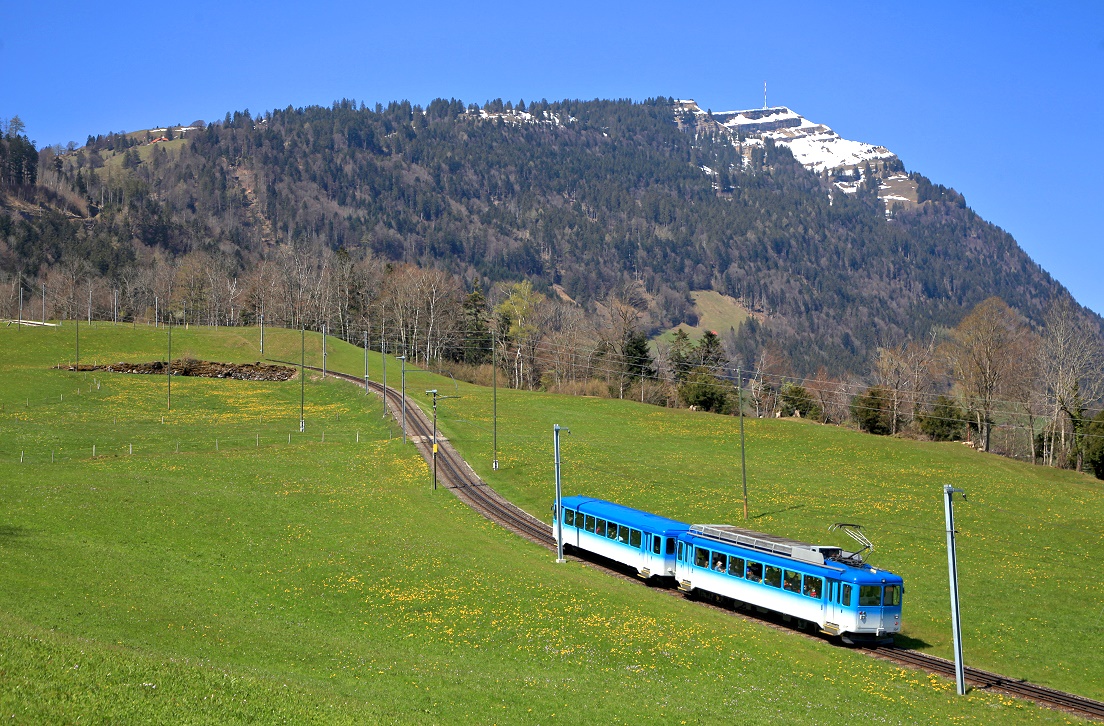 Rigibahnen 11 + 21, Arth Goldau, Kräbel, 239, 24.04.2021.
