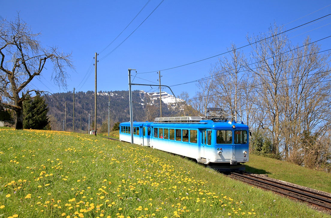 Rigibahnen 12 + 22, Arth Goldau, 238, 24.04.2021.