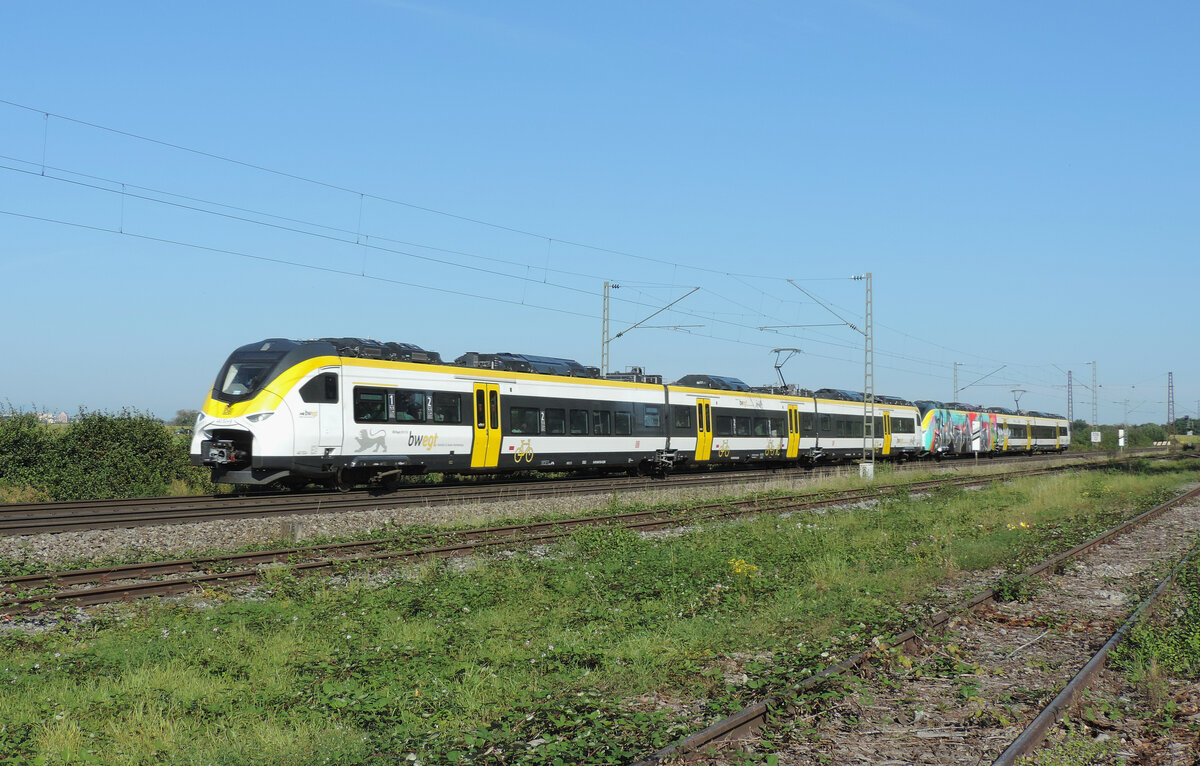 Ringsheim - 25. September 2021 : 463 524 + 503 am RB 17115 von Offenburg nach Freiburg. Der 463 0503 hat einen total geschmieten Triebkopf.
HINWEIS : Ich stand nicht im Gleisbereich. An dieser Stelle gibt es ein Holzladeplatz.