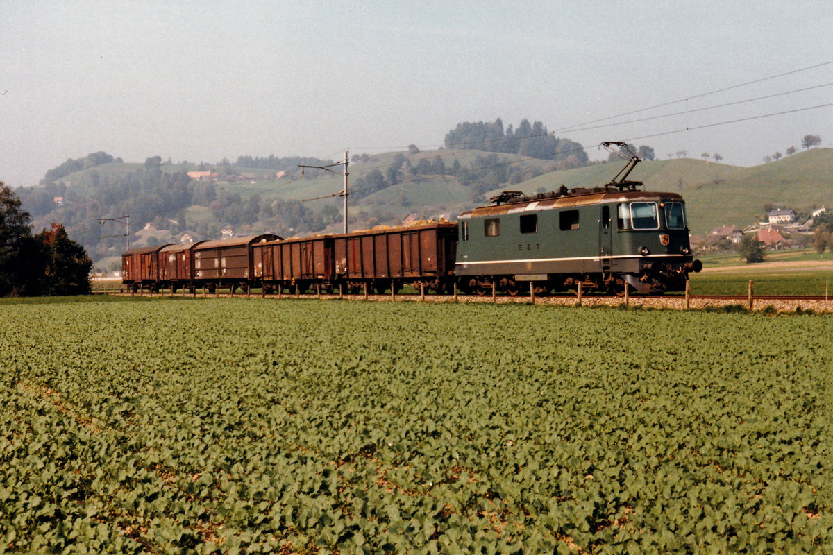 RM/VHB:
Güterzug mit der Re 4/4 111  BERN  bei Rohrbach im September 1985.
Foto: Walter Ruetsch
