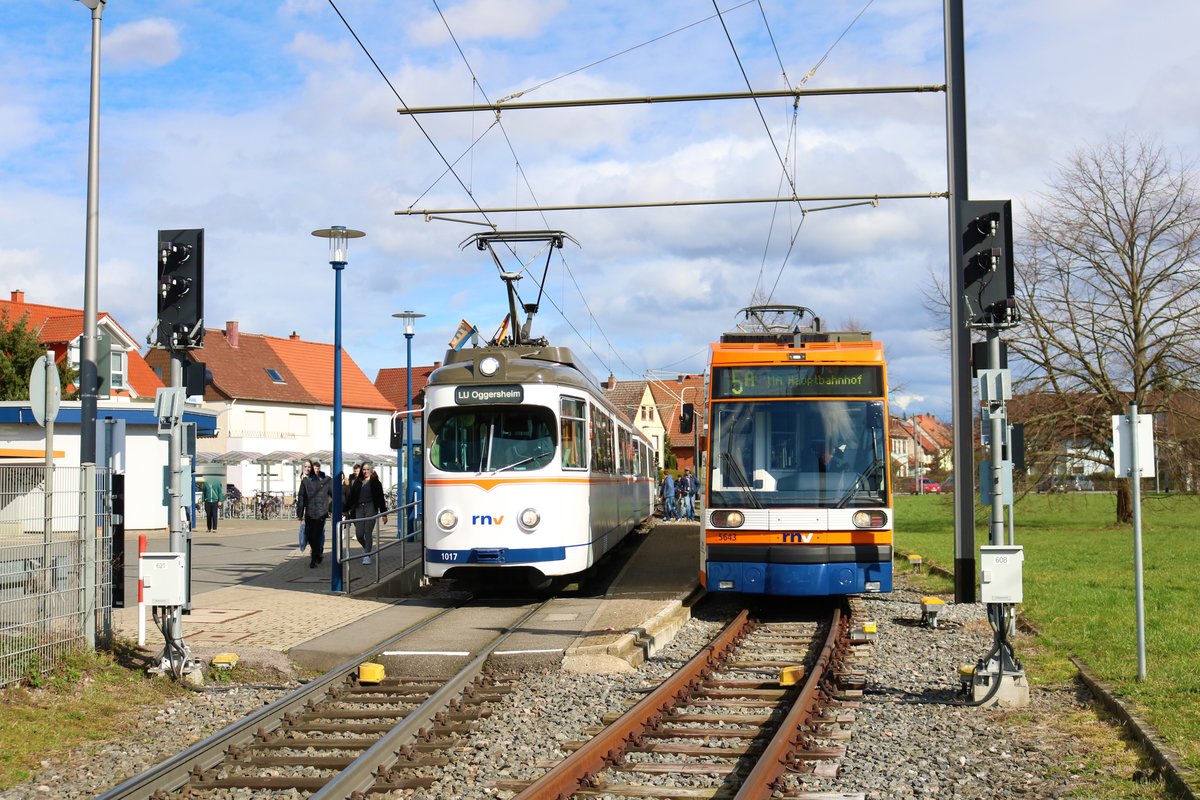 RNV Düwag Hängerzug 1017+1057 trifft am 01.03.20 in Heddesheim den Wagen 5643 in der Wendeschleife 