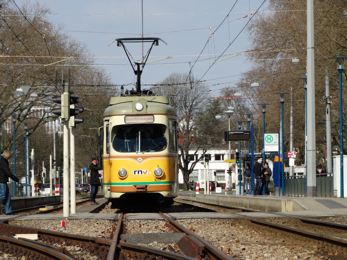 RNV RHB 1017+1057 am 28.03.15 in Mannheim bei einen Fotohalt wo das Fotografieren im Gleisbereich erlaubt war.