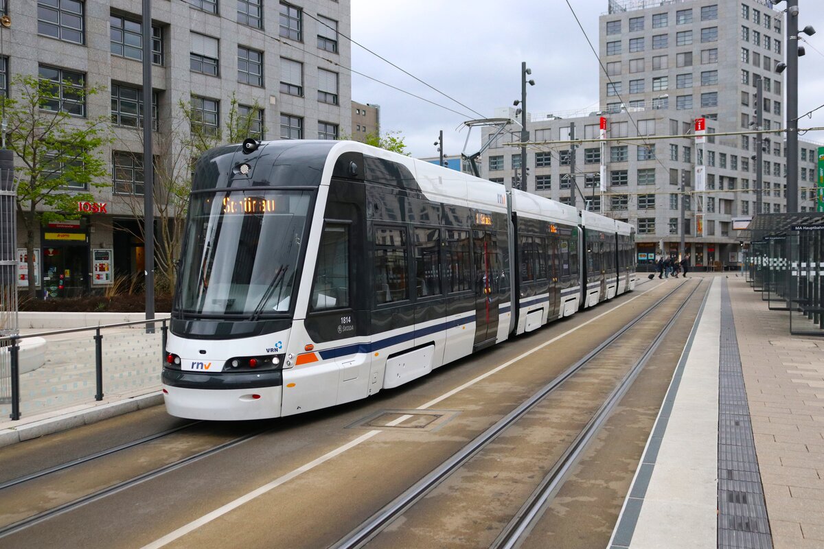 RNV Skoda Rhein Neckar Tram Wagen 1814 am 24.03.24 in Mannheim Hbf