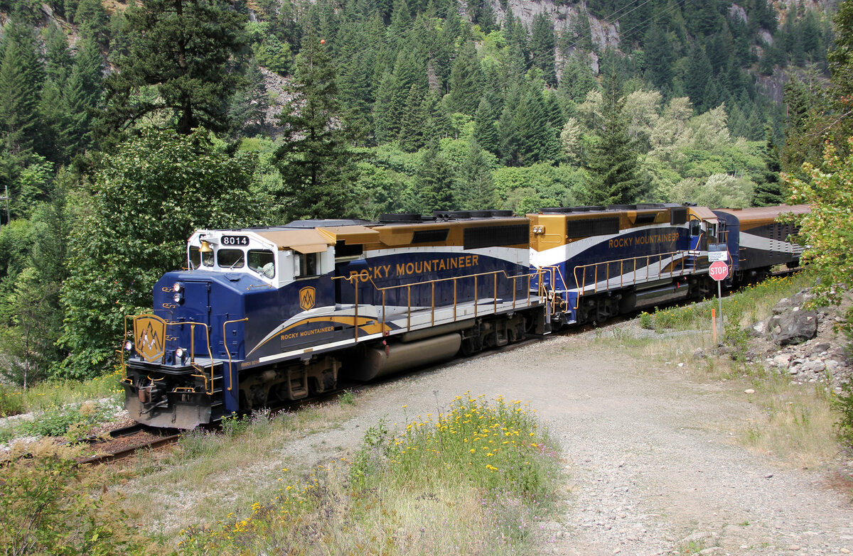 Rocky Mountaineer in den W�ldern in British Columbia. Boston Bar, 2.8.2012
