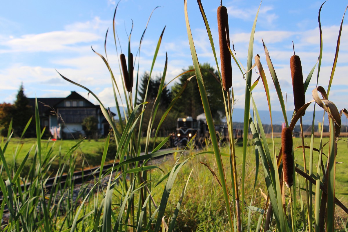 Rohrkolben sind in unseren Regionen doch eher seltener anzutreffen. Ebenso die Reihe L45H die seit 2 Jahren in Österreich als erste Ihrer Art in Stainz eine Heimat fand. Am gestrigen 10 Oktober ging es wieder auf Probefahrt. 