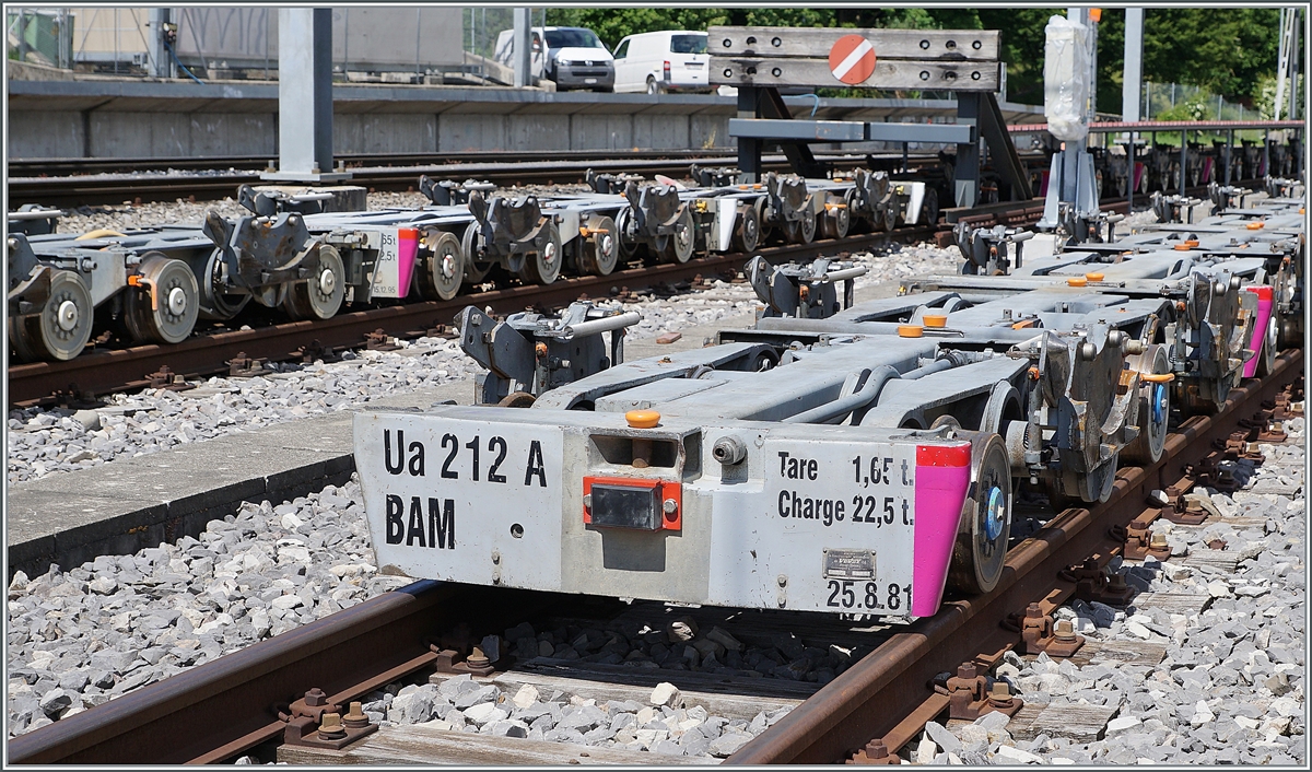 Rollböcke ...

Morges, den 6. Juni 2021