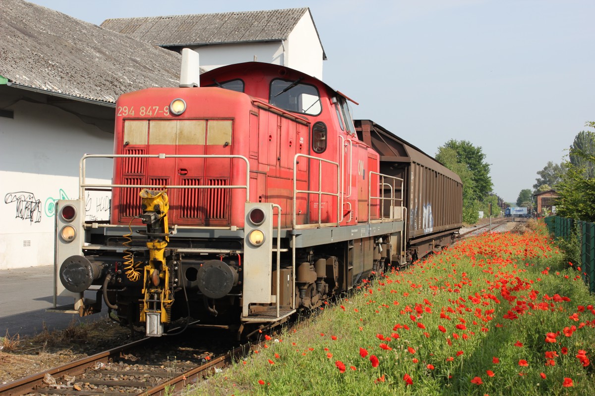 Rot blühte der Mohn im Bahnhof Versmold und 294 847 wartete auf die Rückfahrt nach Gütersloh. 04.06.2014.