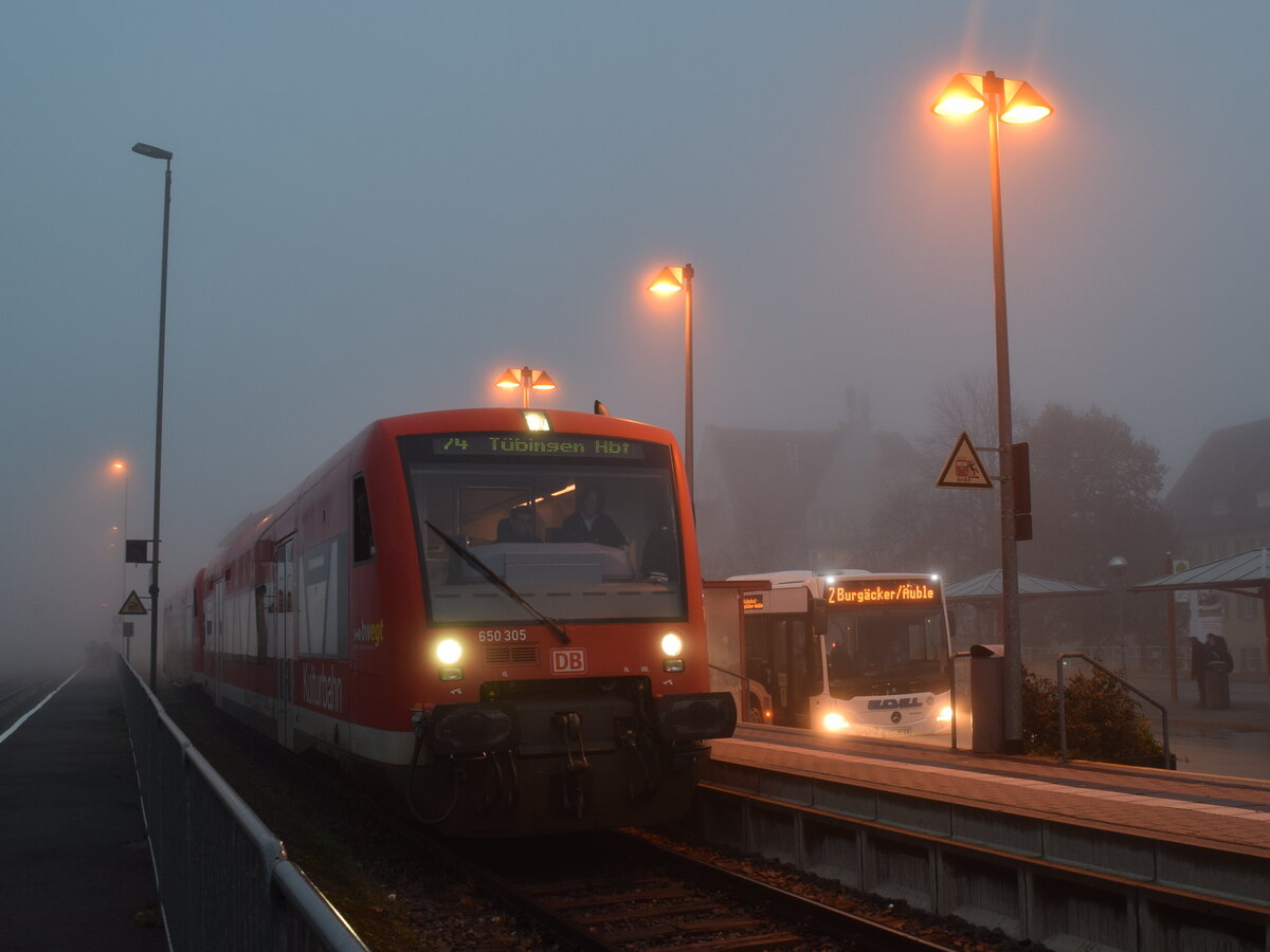 Rottenburg (Neckar) am 10.11.2022 mit 650 305 als RB Richtung Tübingen