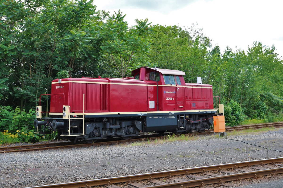 RP Railsystems 290 008-2 am 27.06.20 in Hanau Hafen abgestellt von einer Straße aus fotografiert 