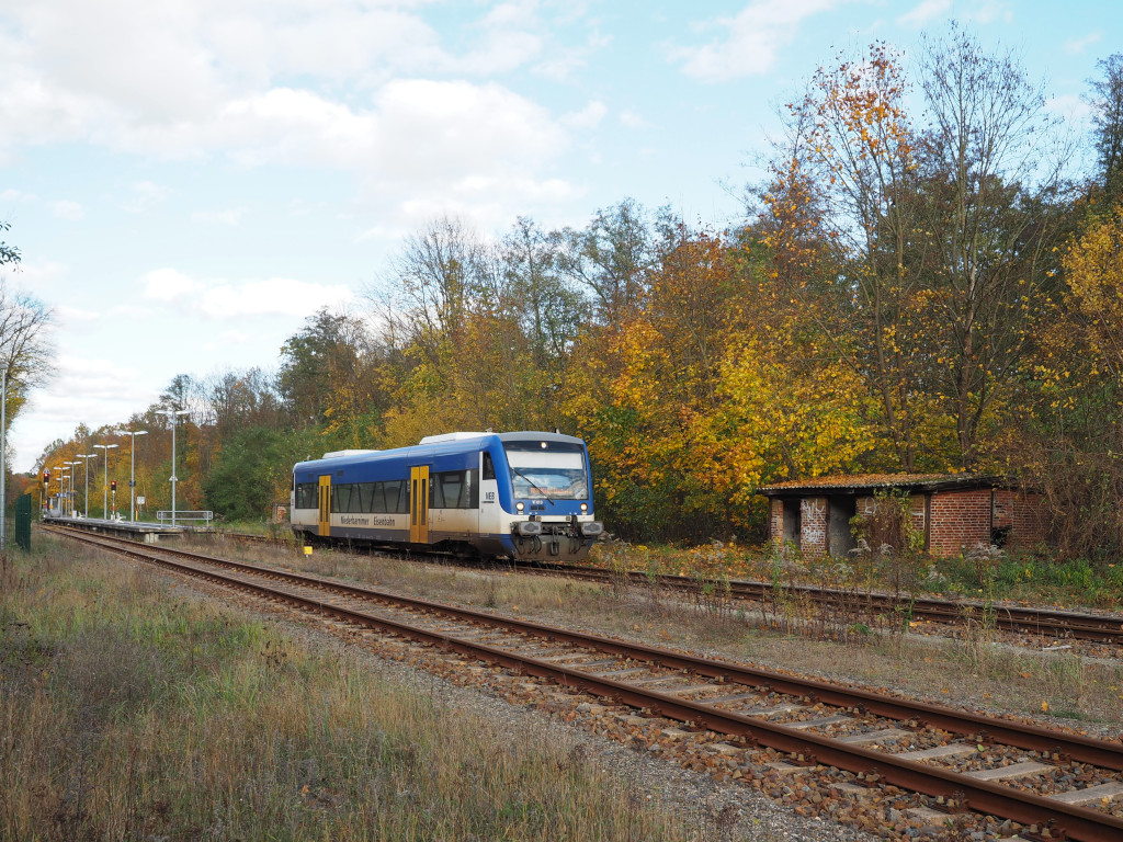 RS1 (VT 013) der Niederbarnimer Eisenbahn (NEB) auf der RB36, hier bei Müllrose.

Müllrose, der 04.11.2023