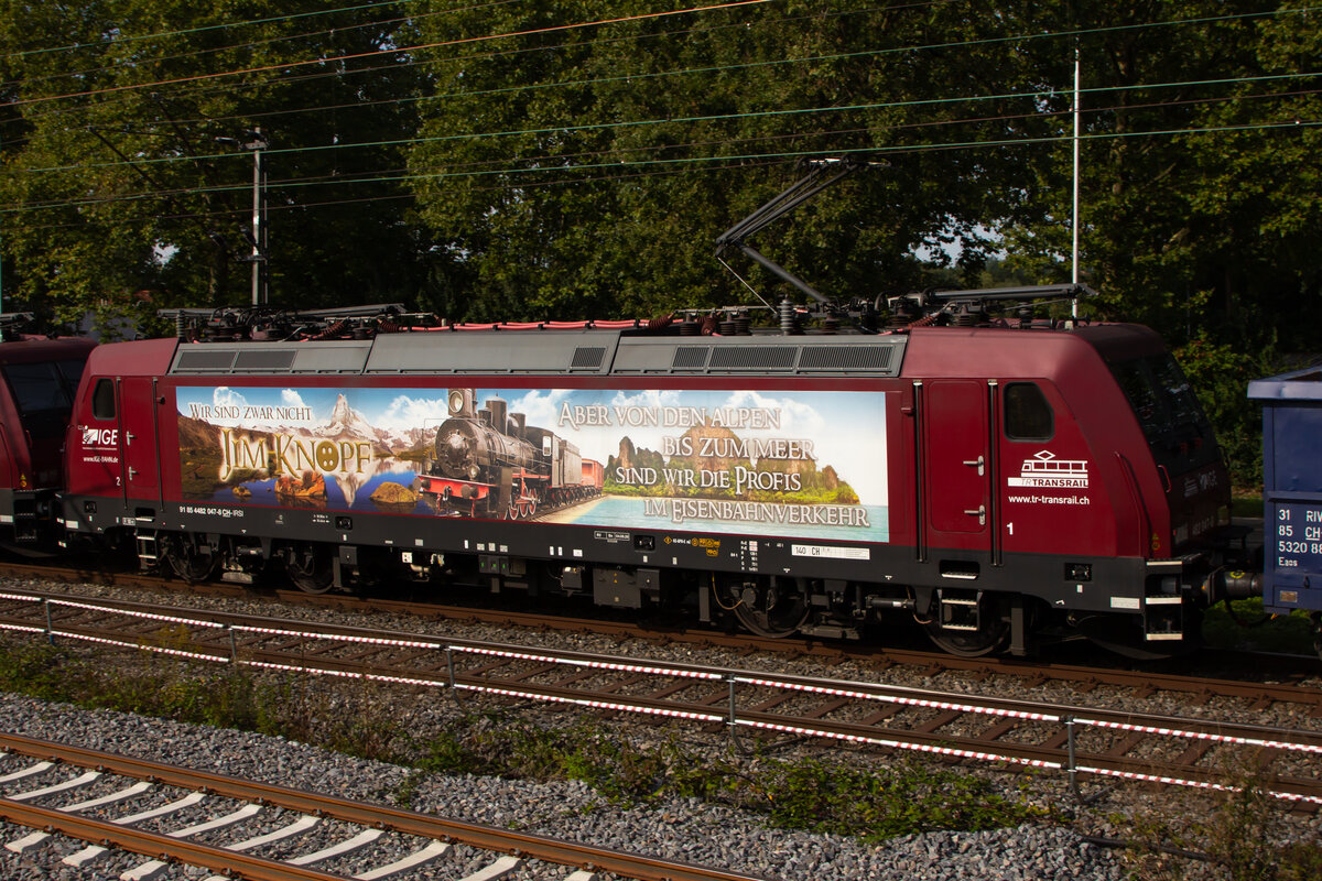 Rübenexpress: 482-047-8 vor Lindau Reutin. 22.9.21