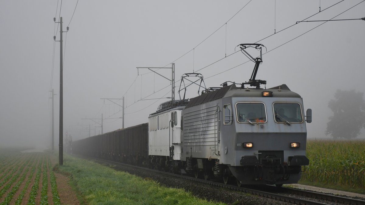 Rübenverkehr im Nebel am Sonntagmorgen 20.09.2020: EDG 446 017-6 und 142 103-1 sind mit einem voll beladenen Rübenzug zwischen Mellingen und Dättwil (CH) in Richtung Islikon TG (CH) unterwegs. Gruss zurück an den Lokführer und danke für den Pfiff.