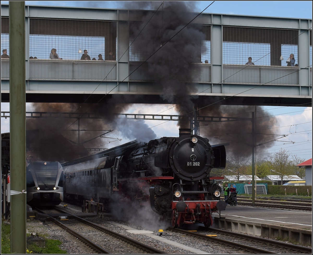 Rückfahrt vom Dampfloktreffen in Dresden. Auf der Heimfahrt reichte es zum Umweg über Konstanz. In Konstanz wurde noch mal gewaltig eingeheizt und sofort geht es weiter. Die Zuschauer im Steg über den Bahnhof werden ordentlich eingerußt. Während der Güterverkehr bereits grenzenlos ist, so müssen Lokmotiven im Personenverkehr immer gewechselt werden. 01 202 zeigt den egozentrischen Bahnverwaltungen, wie grenzenloser Personenverkehr auch mit Lokomotive geht. Erstaunlich, dass man dazu bald hundert Jahre alte Dampfloks braucht. April 2019. 