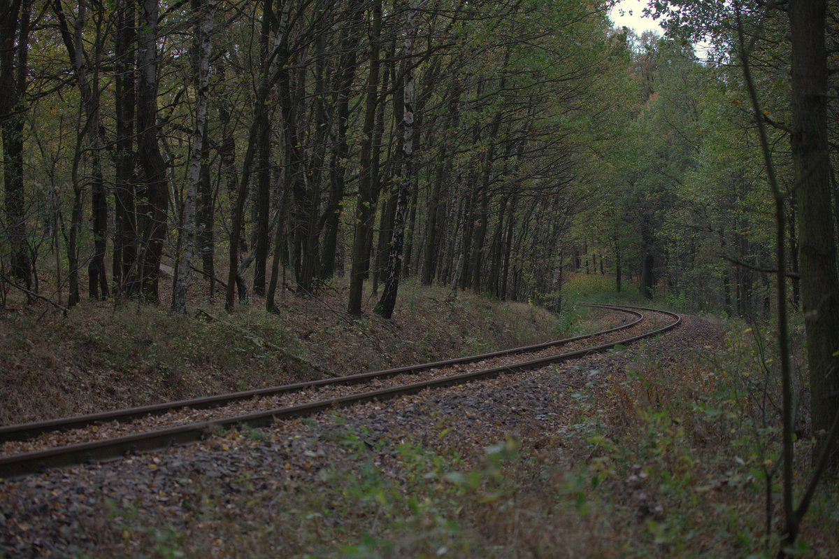 Ruhe sanft, typischer Blick auf die ehemalge KSB Strecke 252 , Zittau-Löbau, heute kein regulärer Zugverkehr mehr. 27.10.2019  12:41 Uhr.