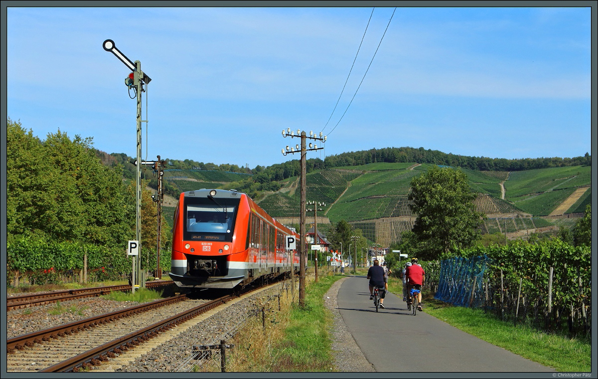 Rund um Dernau liegt eines der größten Weinbaugebiete des Ahrtals. 620 003 passiert am 13.09.2020 die Ausfahrsignale des Bahnhofs Dernau, um die Fahrt Richtung Ahrbrück fortzusetzen. 2021 soll das mechanische Stellwerk durch ein ESTW ersetzt werden.
