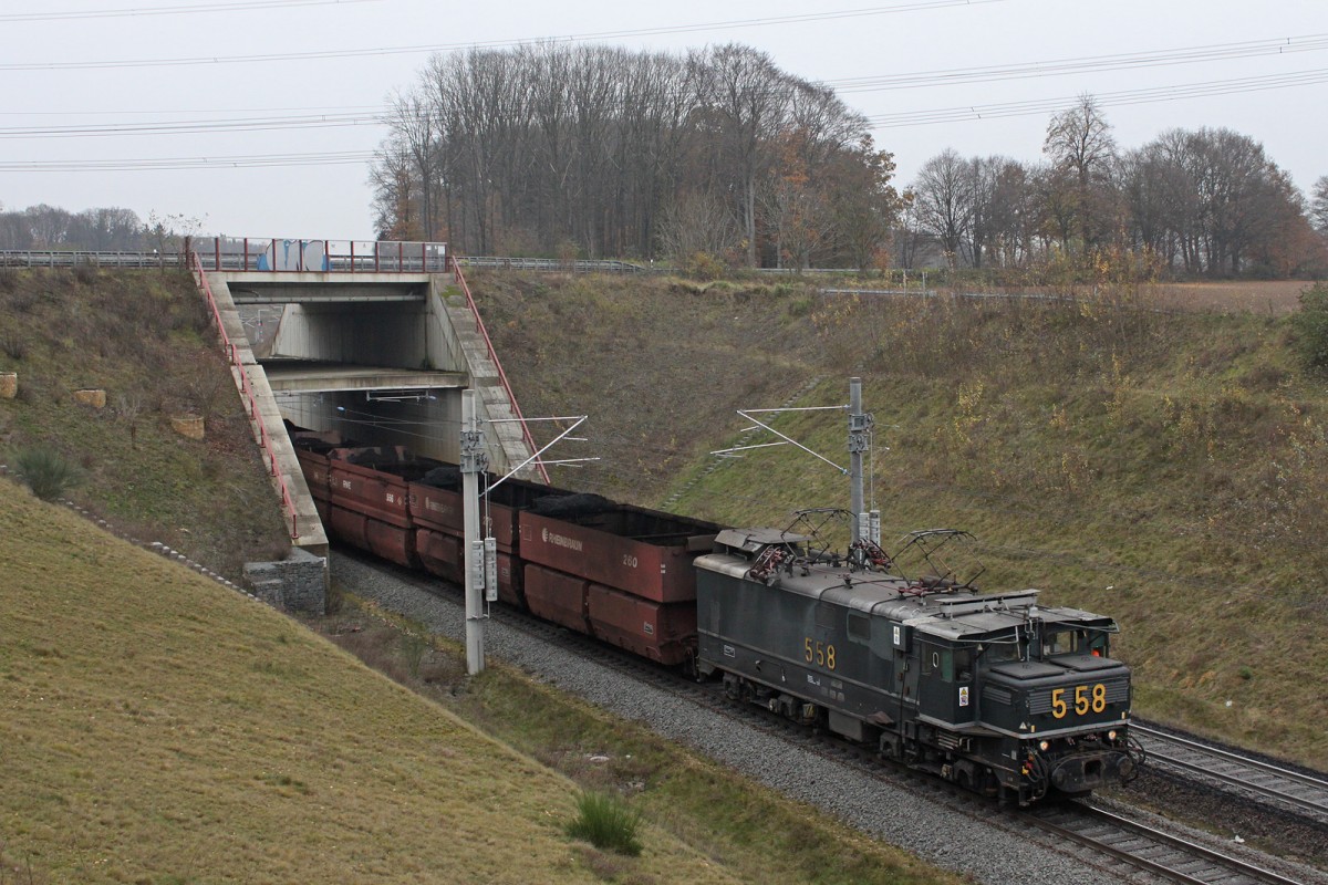RWE 558 am 30.11.14 bei Niederzier.