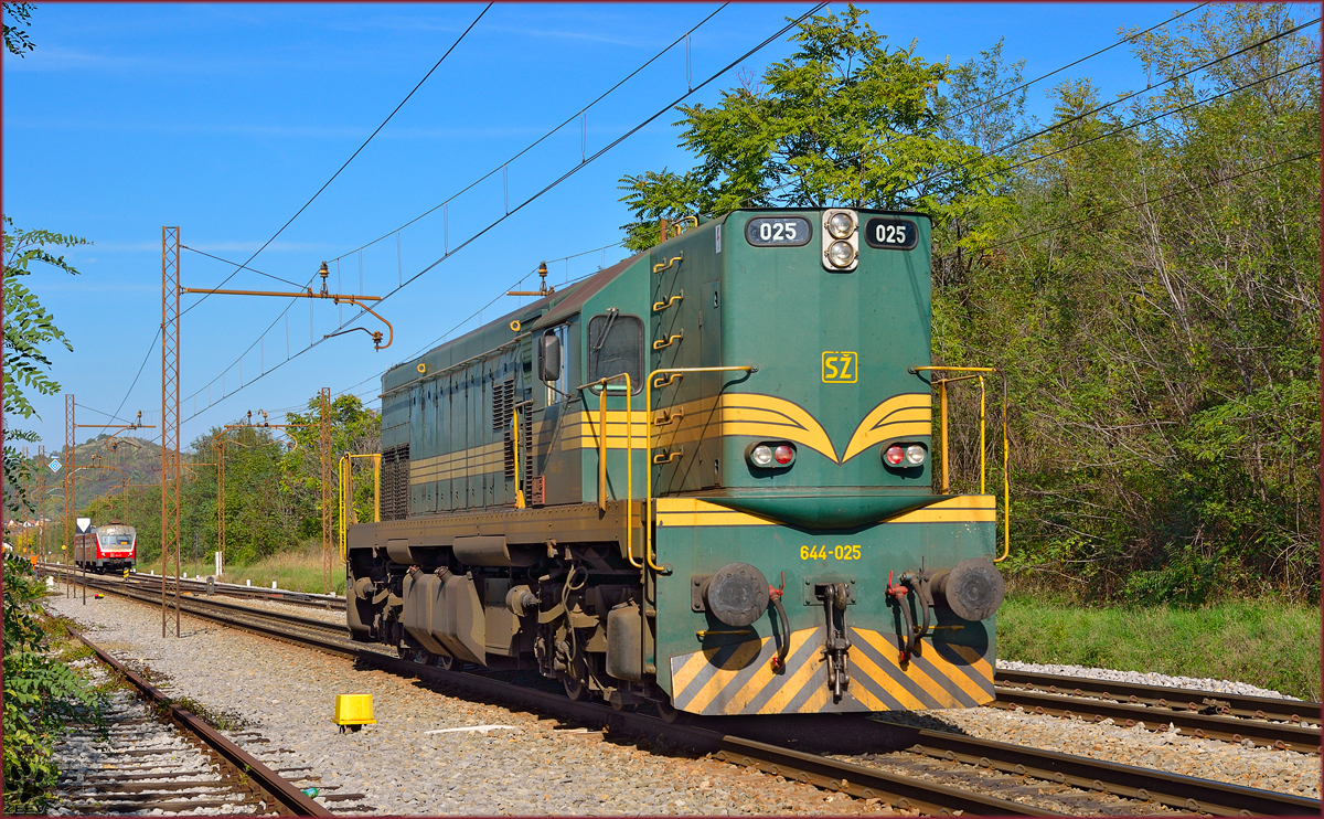 S 644-025 fhrt als Lokzug durch Maribor-Tabor Richtung Studenci Bahnhof. /4.10.2013