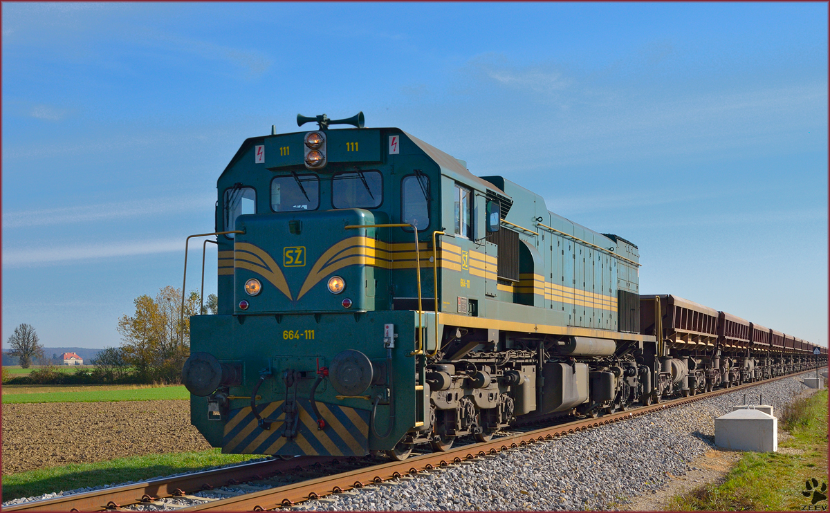 S 664-111 zieht Schotterzug nahe Podvinci Richtung Pragersko. /25.10.2013