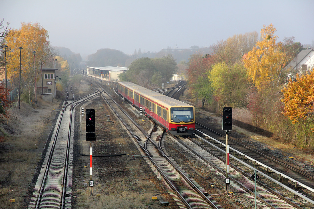 S-Bahn Berlin 481 xxx // Berlin-Kaulsdorf (Im Hintergrund sieht man die Station Berlin Wuhletal) // 12. November 2016