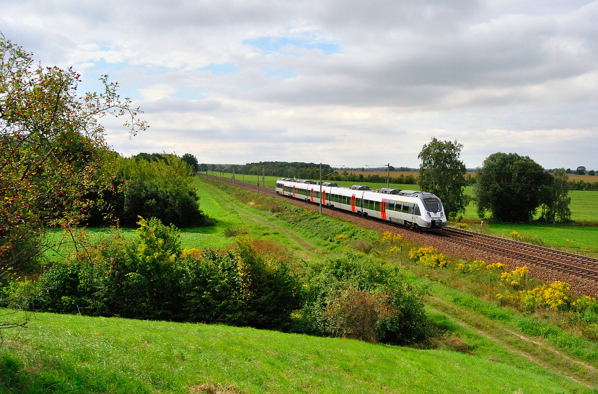 S-Bahn S2 von Leipzig-Connewitz nach Delitzsch unt. Bf, bei Zschortau am 21.08.2016.