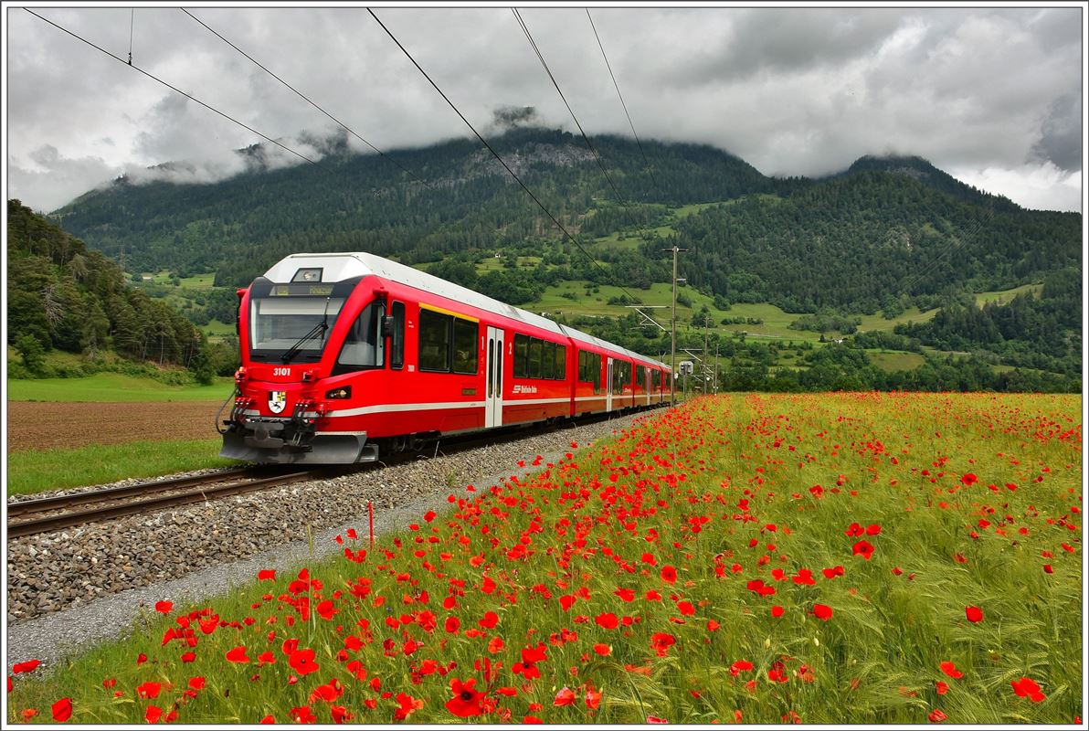 S1 1515 mit ABe 4/16 3101 bei Bonaduz. (14.06.2016)