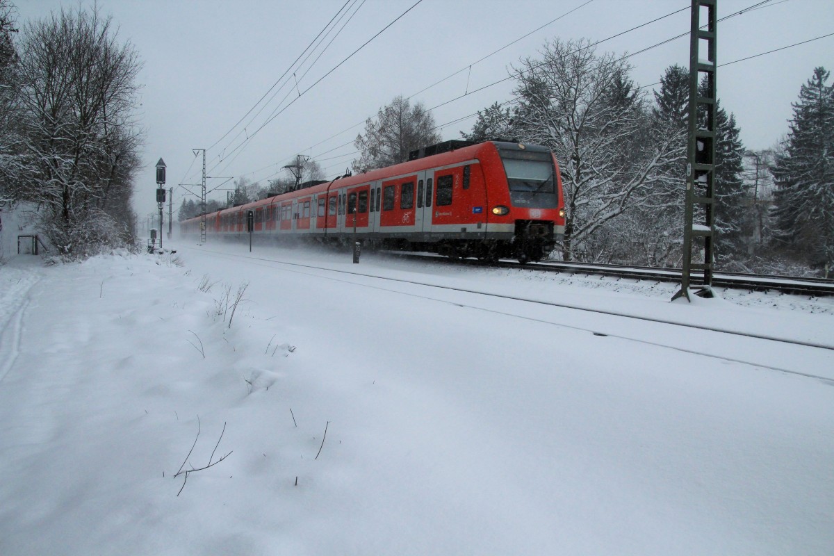 S1 Freising(423 117-2) München Moosach 30.12.2014