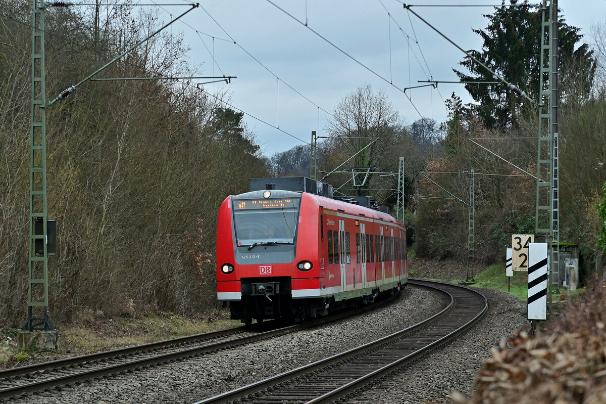 S1 nach Homburg Saar Hbf, hier ist der 425 213 Sinsheim (Elsenz) mit dem 425 075/575, der später in Mannheim Hbf abgekuppelt wird, bei der Einfahrt in Neckargerach am Samstag den 28.1.2023 zusehen.