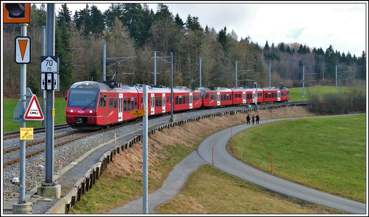 S10 mit 2 x Be 510 nach Zürich HB in Ringlikon. (19.01.2020)