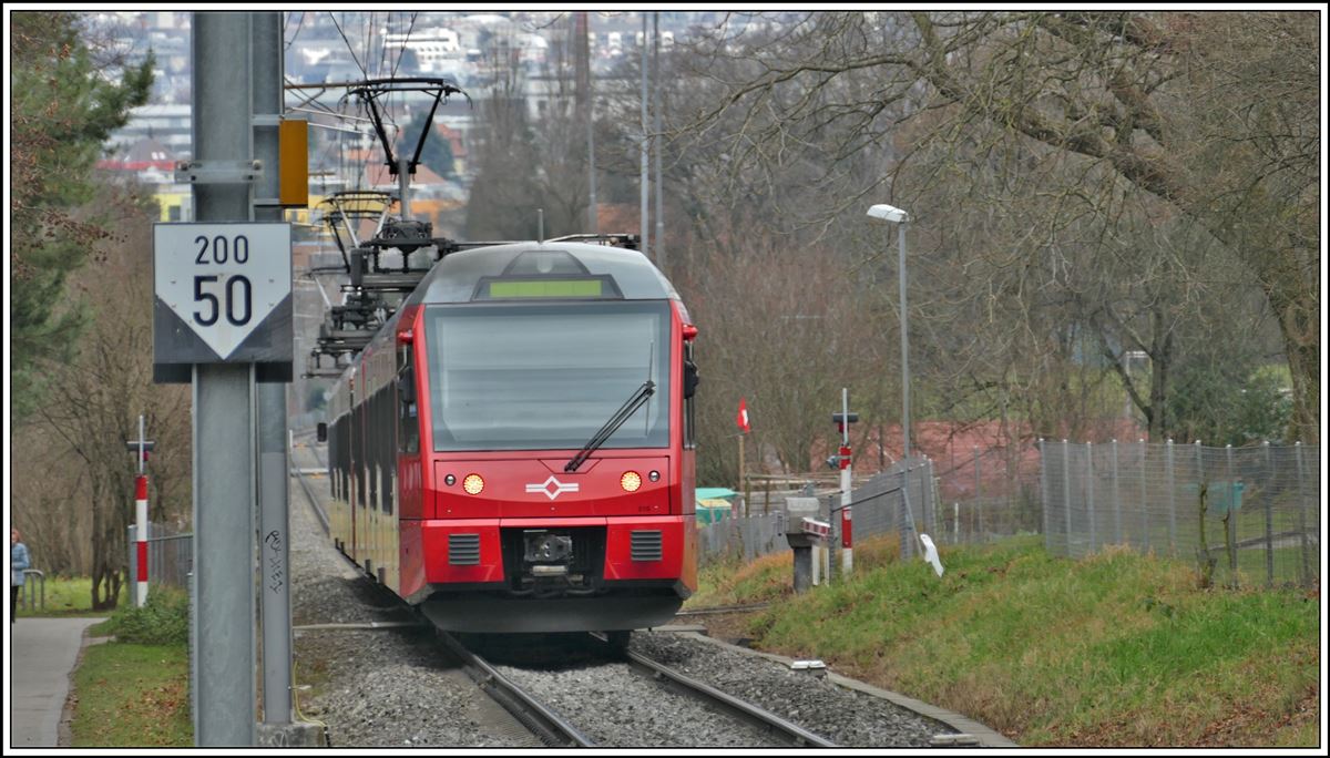 S10 nach Zürich HB mit 2 Be 510 zwischen Triemli und Schweighof. (19.01.2020)
