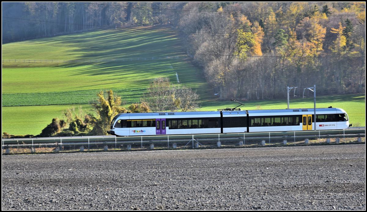 S12 mit Thurbo GTW bei Untervaz-Trimmis. (22.11.2018)