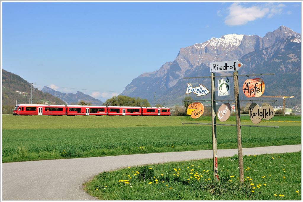 S2 1557 auf dem Weg nach Rhäzüns bei Zizers mit dem Falknis im Hintergrund. (12.04.2016)