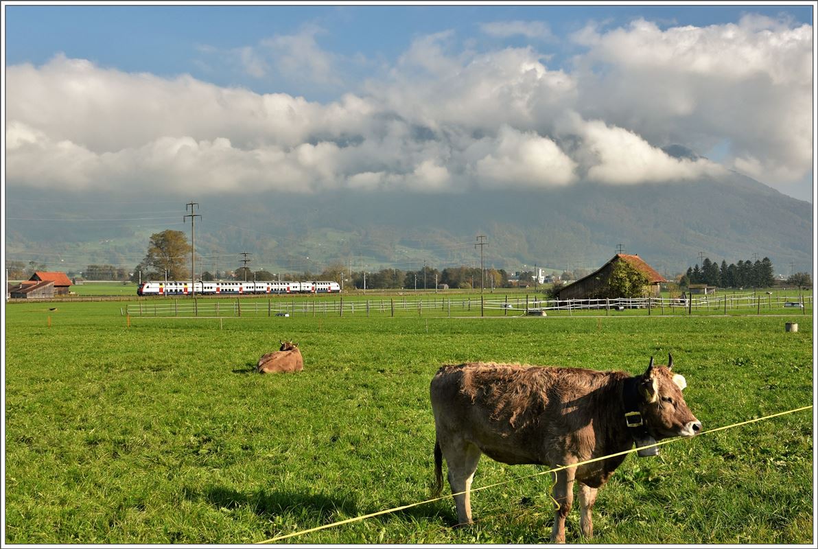 S2 zwischen Reichenburg und Bilten. (27.10.2016)