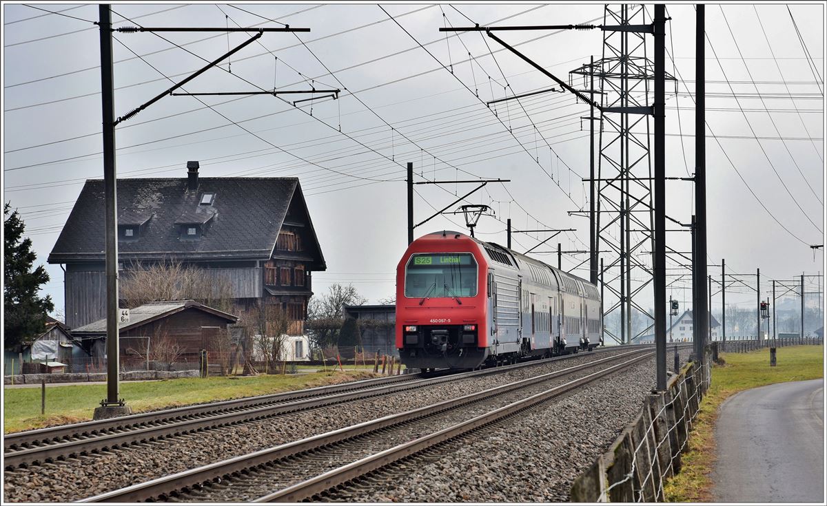 S25 mit Re450 zwischen Siebnen-Wangen und Schübelbach-Buttikon. (13.02.2017)