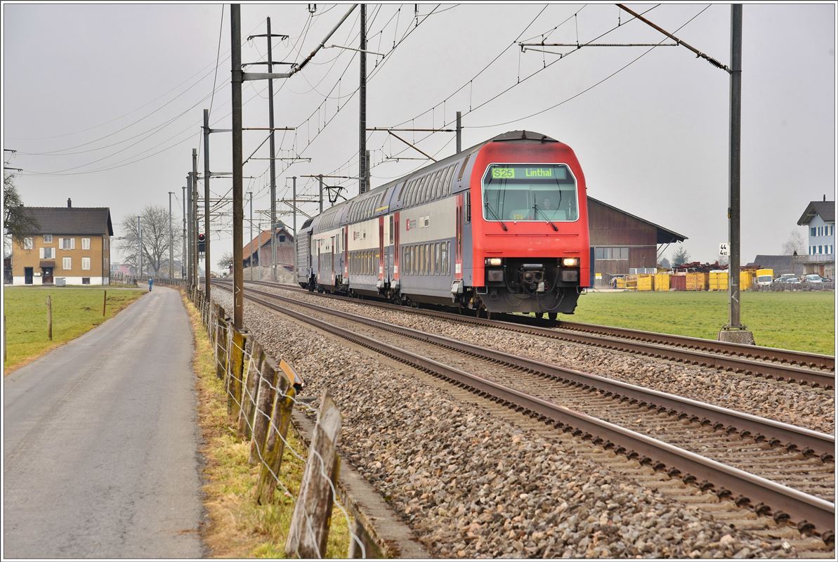 S25 mit Re450 zwischen Siebnen-Wangen und Schübelbach-Buttikon. (13.02.2017)
