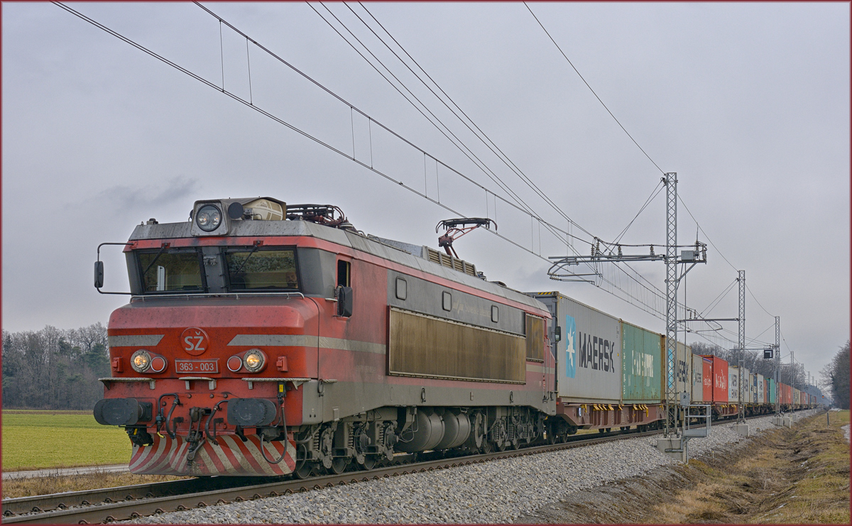 SŽ 363-003 zieht Containerzug durch Cirkovce-Polje Richtung Koper Hafen. /29.1.2019