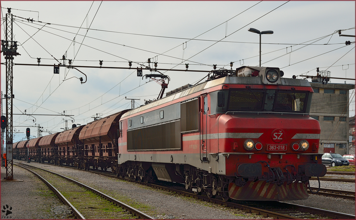 SŽ 363-018 fährt mit Güterzug auf Bahnhof Pragersko ein. /21.2.2014