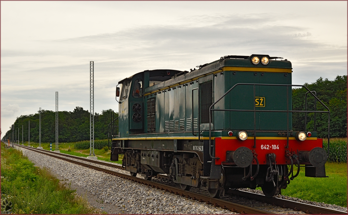 SŽ 642-184 fährt als Lokzug durch Cirkovce-Polje Richtung Pragersko. /5.8.2014