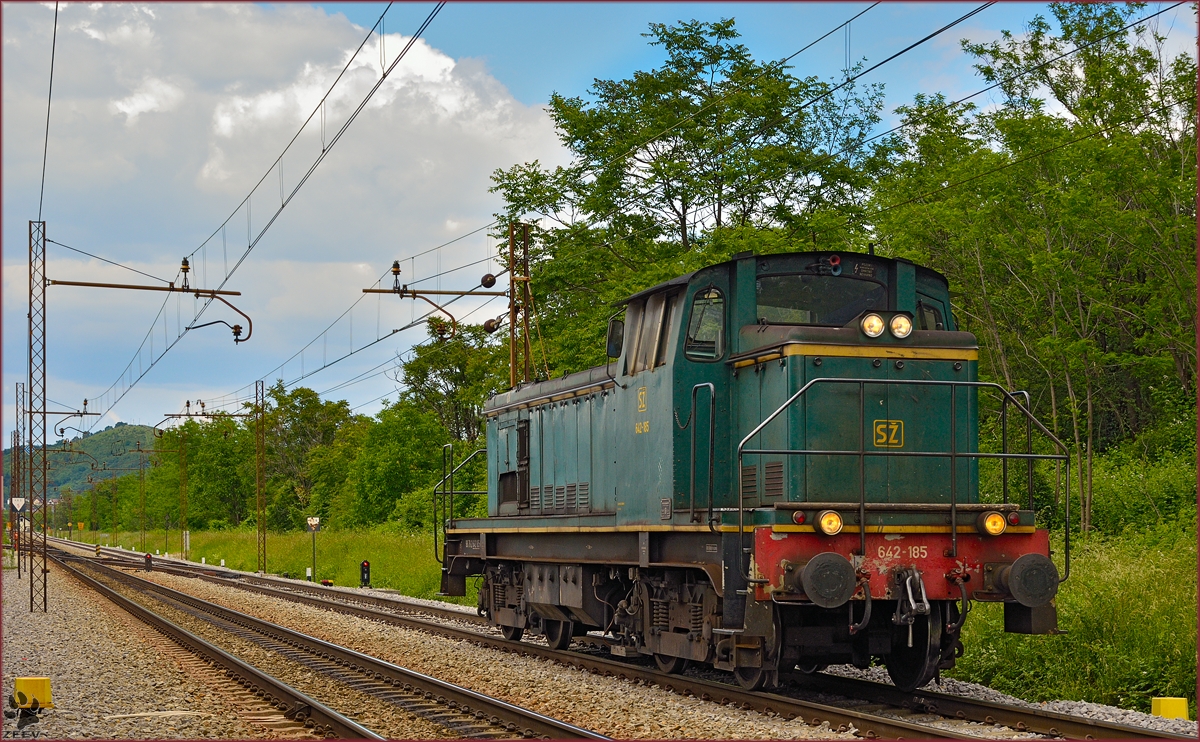SŽ 642-185 fährt als Lokzug durch Maribor-Tabor Richtung Tezno Verschiebebahnhof. /31.5.2014