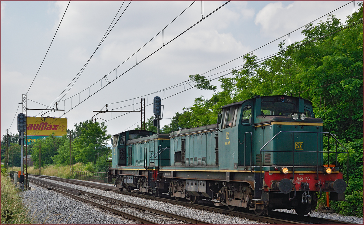 SŽ 642-185+642-179 fahren durch Maribor-Tabor Richtung Maribor HBF. /9.6.2015