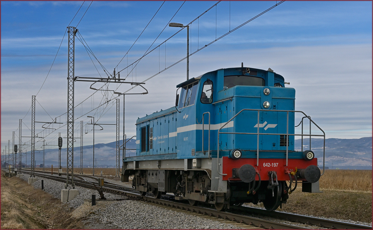 SŽ 642-197 fährt als Lokzug durch Cirkovce-Polje Richtung Ptuj. /29.1.2022