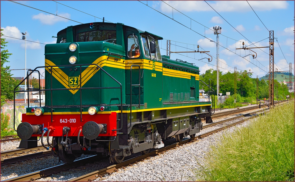 SŽ 643-010 fährt als Lokzug durch Maribor-Tabor Richtung Tezno Verschiebebahnhof. /26.5.2014